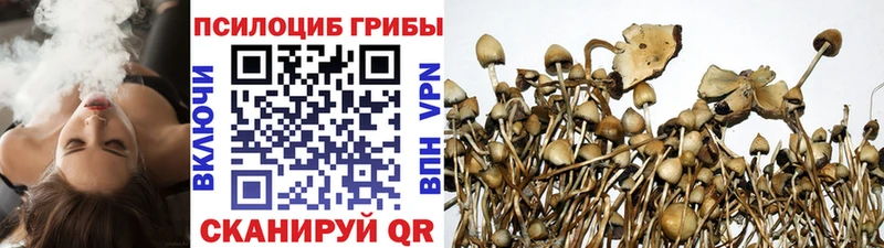 купить наркотик  Спасск  blacksprut онион  Псилоцибиновые грибы Magic Shrooms 